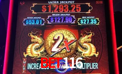 Descubra o Mundo do Cassino Online com bet116